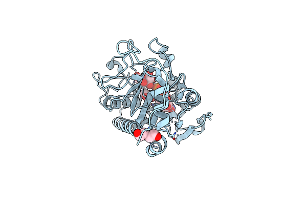 3SX3 image