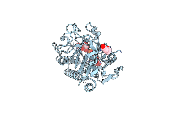 3SX5 image