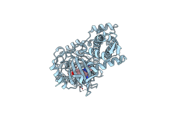 3SX9 image