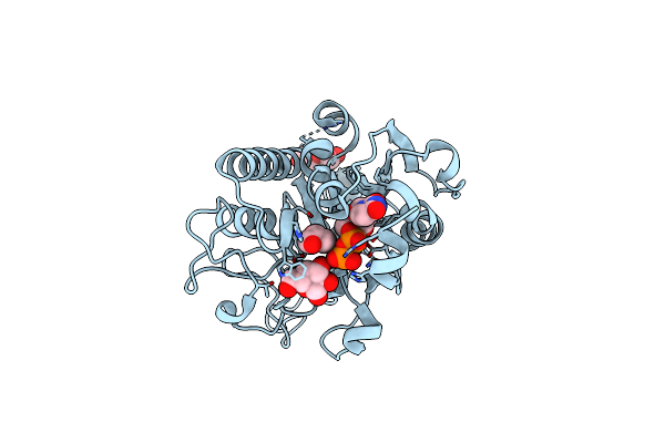 3SXA image