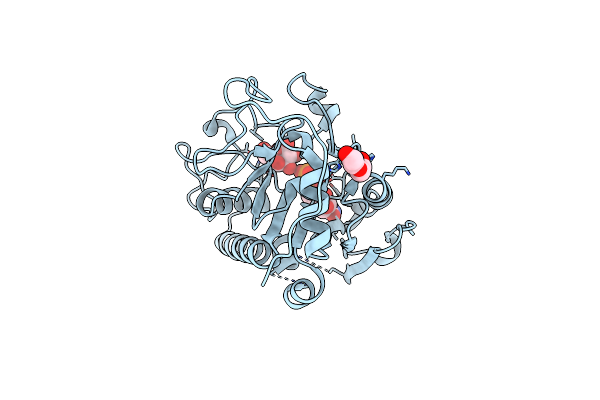 3SXD image