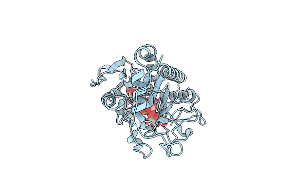 3SXE image