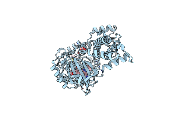 3SXF image