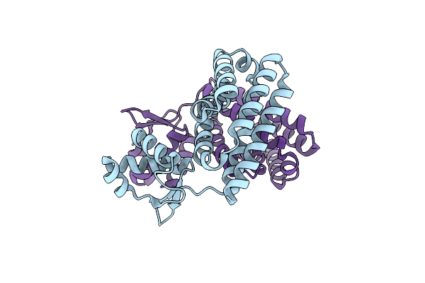3SXY image