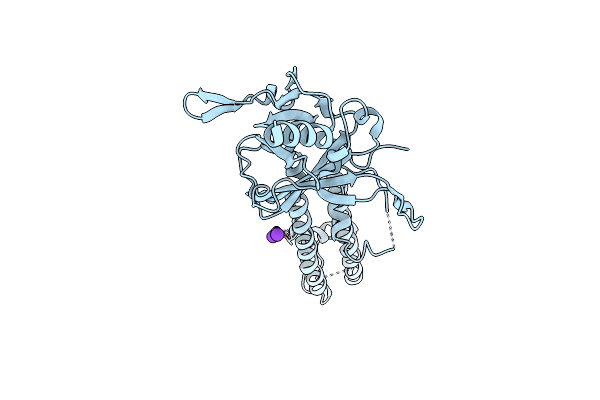 3SYC image