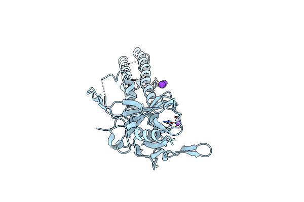 3SYO image