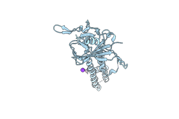 3SYP image