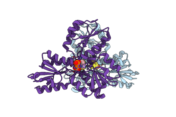 3SZO image