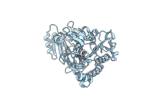 3T01 image