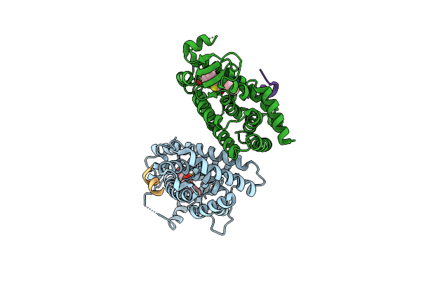 3T03 image