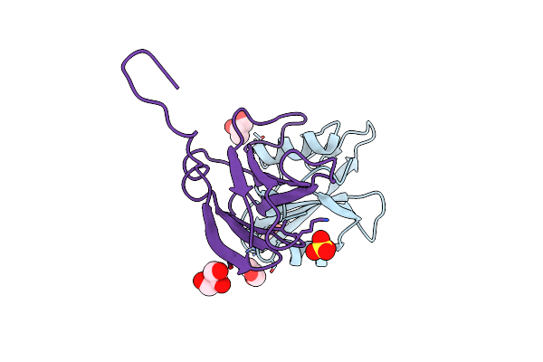 3T04 image