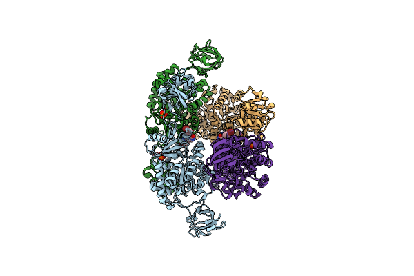 3T07 image