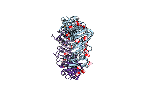 3T0P image