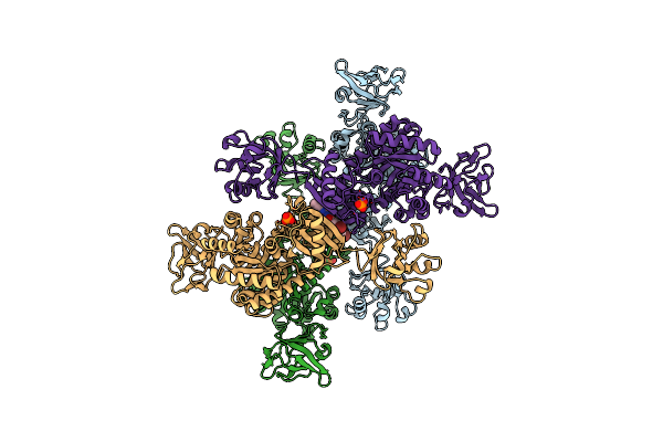 3T0T image