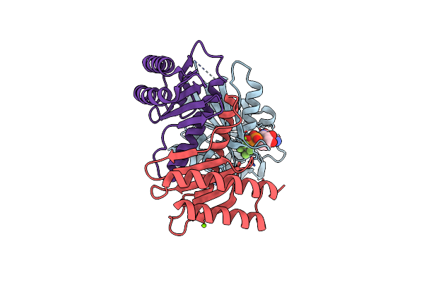 3T12 image