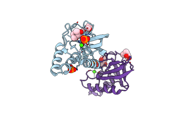 3T13 image