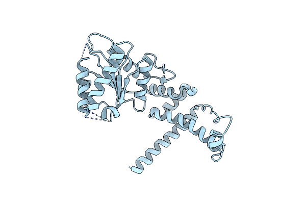3T15 image