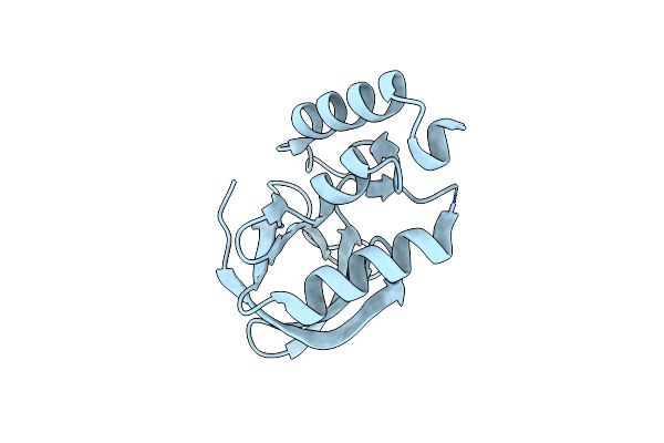 3T16 image