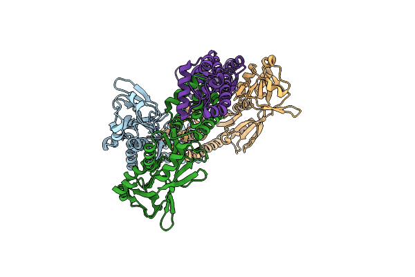 3T1B image