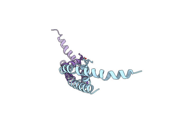 3T1C image
