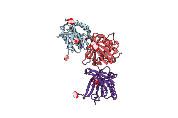 3T1D image