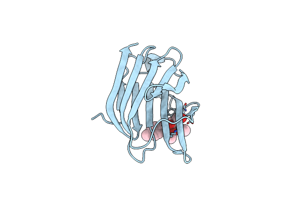 3T1L image