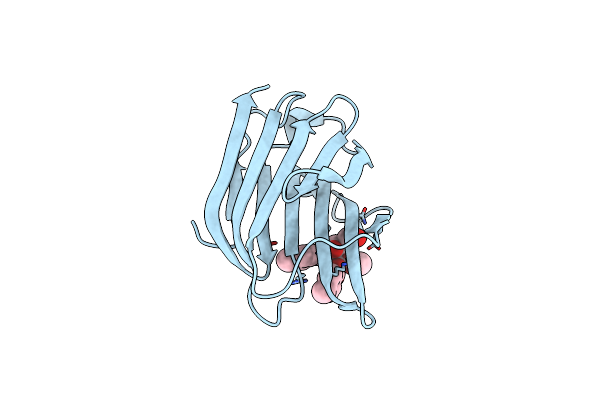 3T1M image