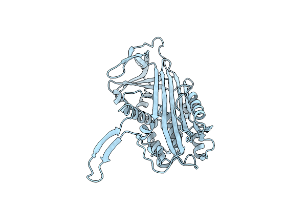 3T1P image