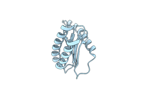 3T1S image