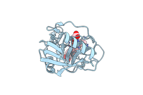 3T1U image
