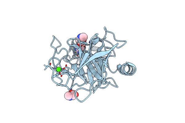 3T26 image