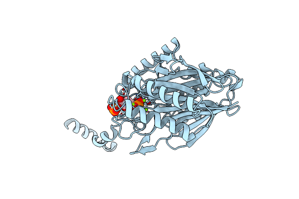 3T2D image