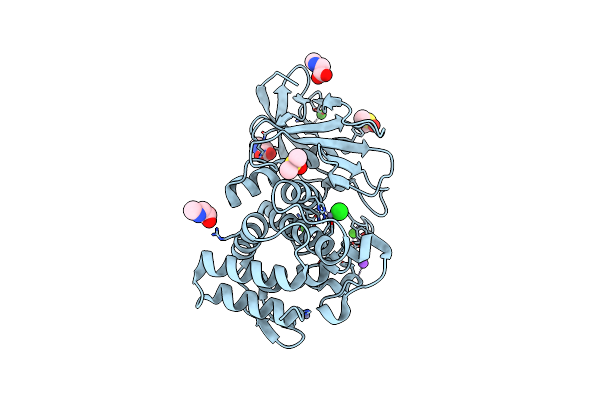 3T2I image
