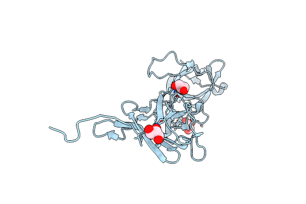 3T2L image