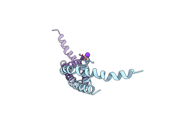 3T2M image