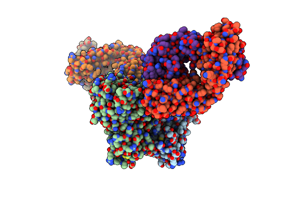 3T2N image