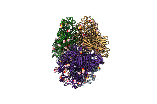 3T2O image