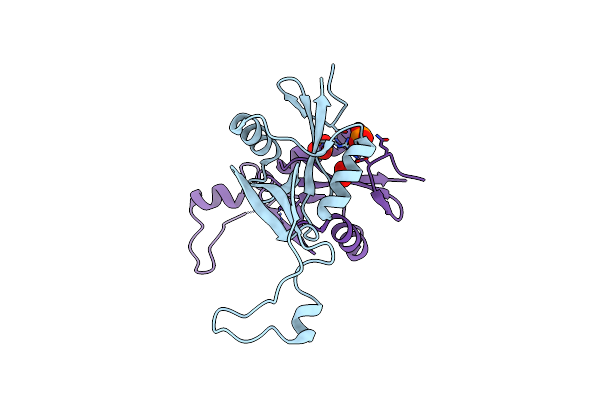 3T3A image