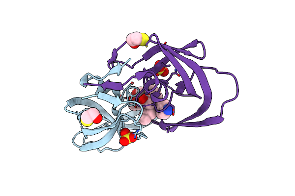 3T3C image