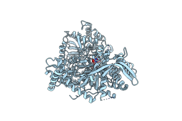 3T3D image
