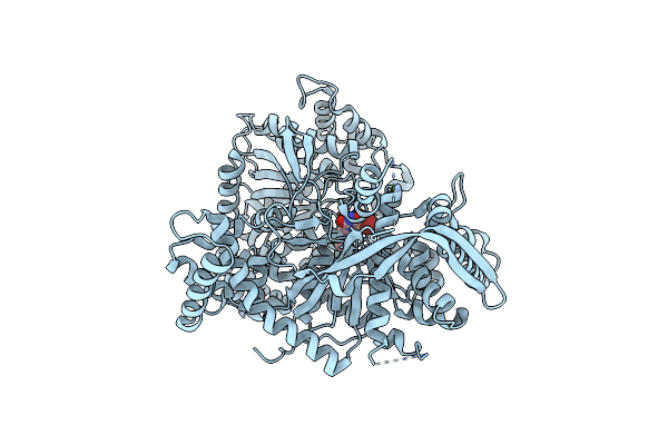 3T3G image