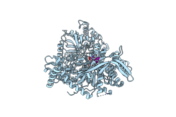 3T3H image