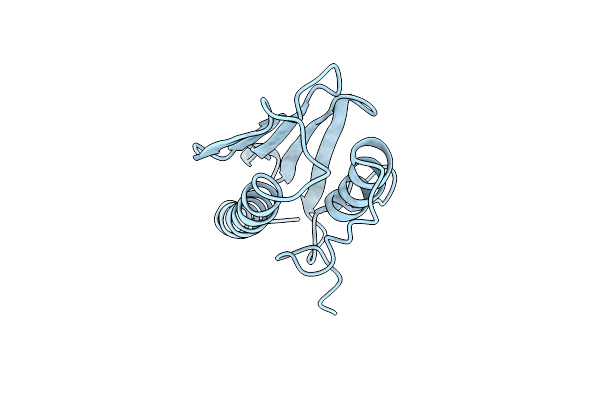 3T3K image