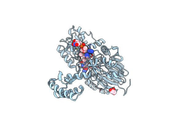 3T3O image