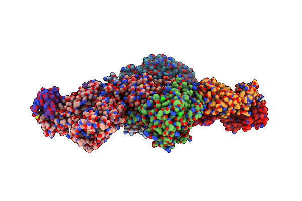 3T3P image