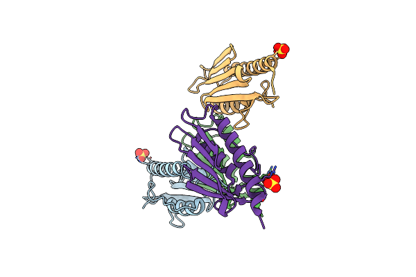3T3T image