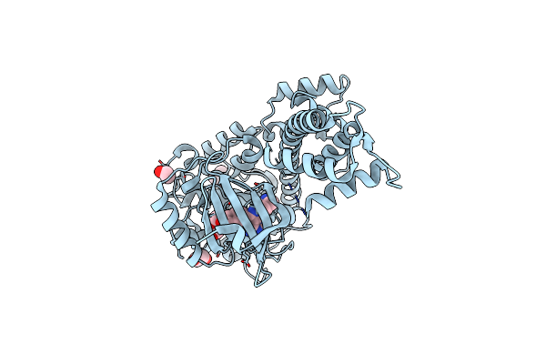 3T3U image
