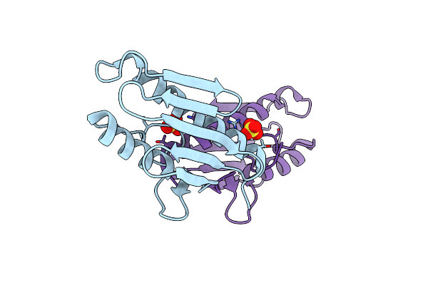 3T3X image