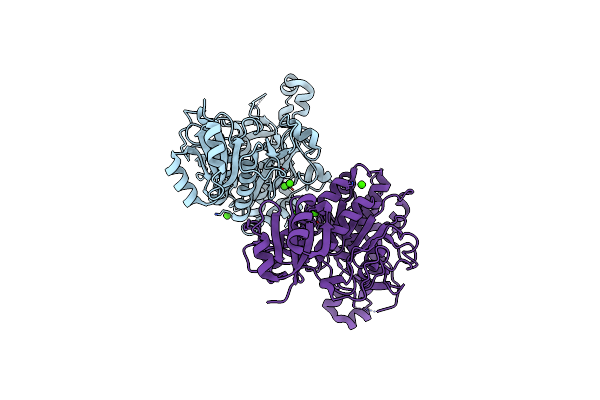 3T41 image