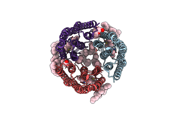 3T45 image